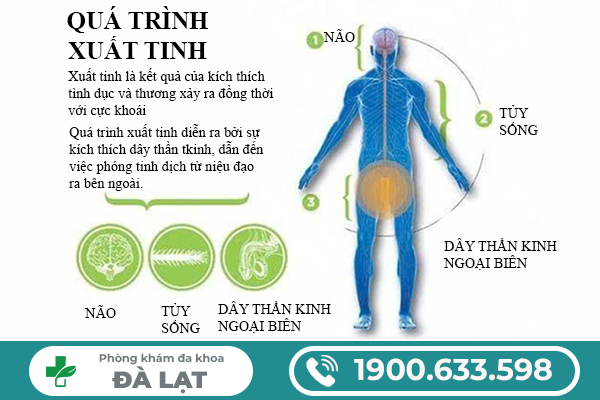 Hình ảnh minh họa